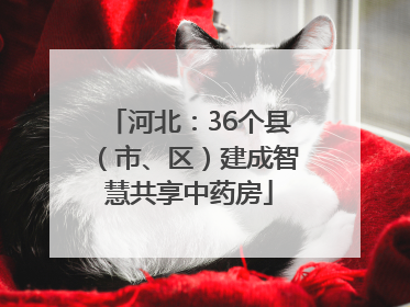 河北：36个县（市、区）建成智慧共享中药房